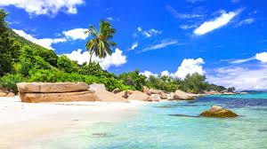 Beach holiday photo 8