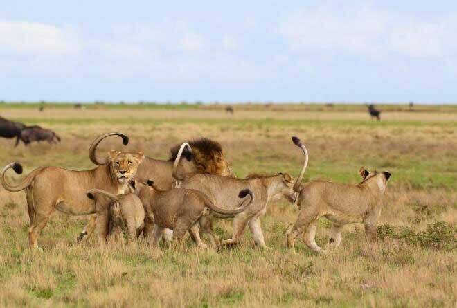 Lake Nakuru National Park