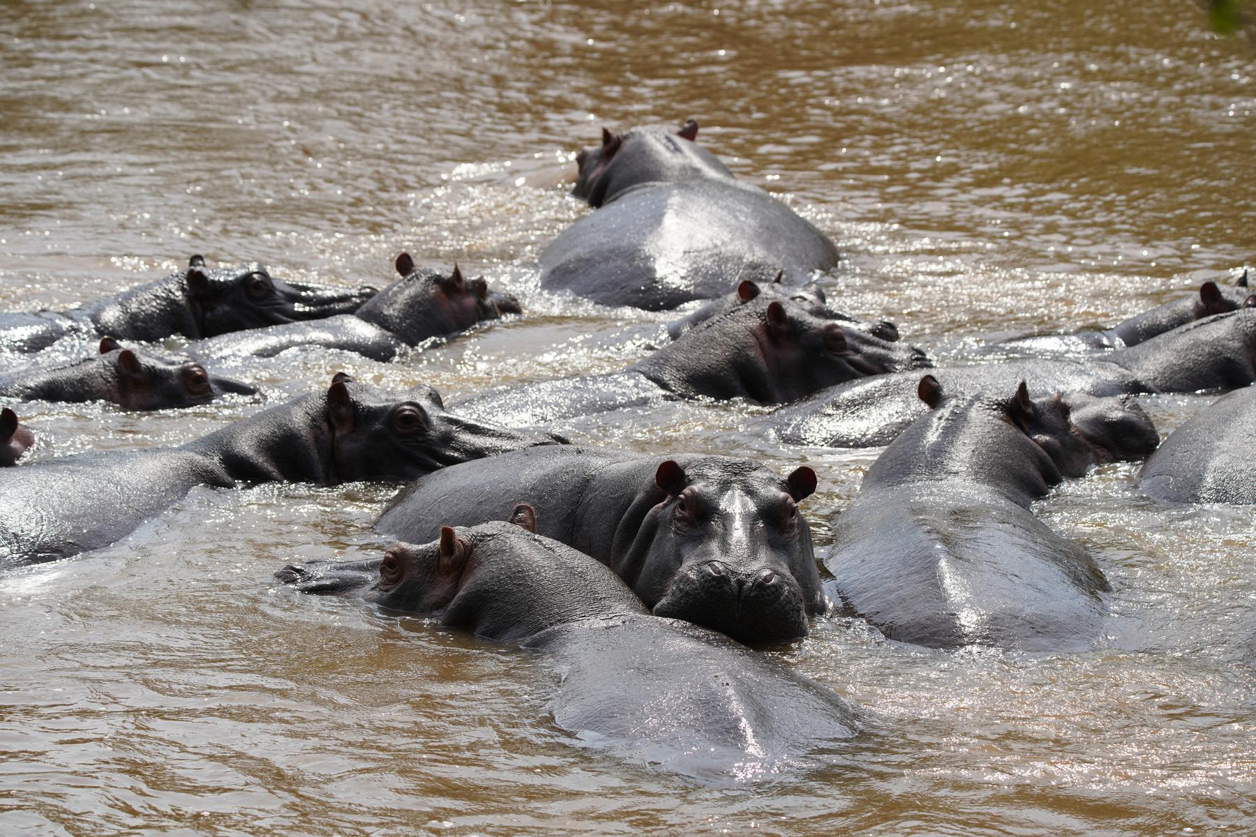Queen Elizabeth National Park