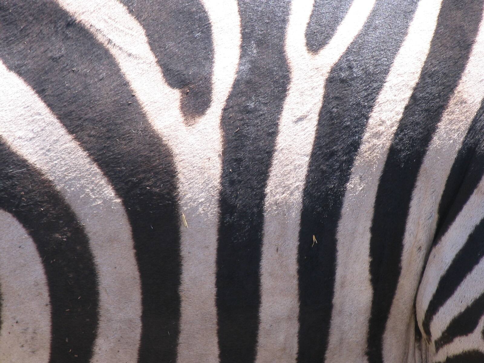 Serengeti National Park