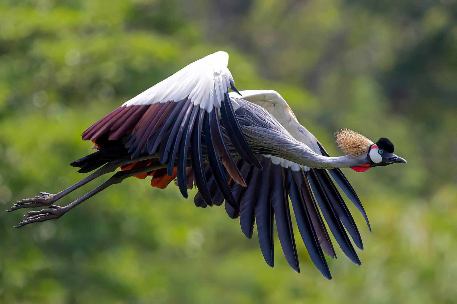Northern Tanzania safari landscape