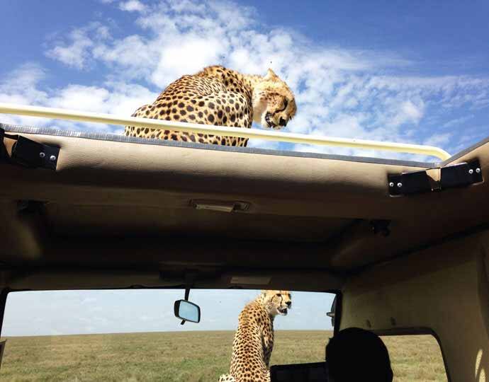 Kitulo National Park